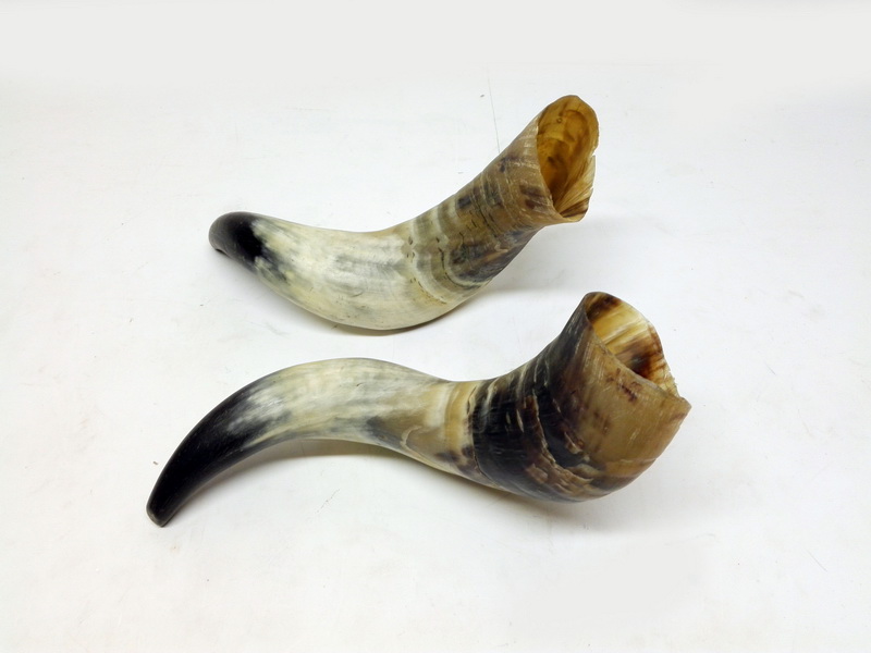 astas toro largo 29-30 1u